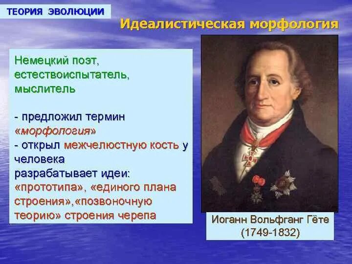 Учения гете. Теория гете. идеалистическая теория. теория эволюции кто открыл. теория позвоночная теория гете.