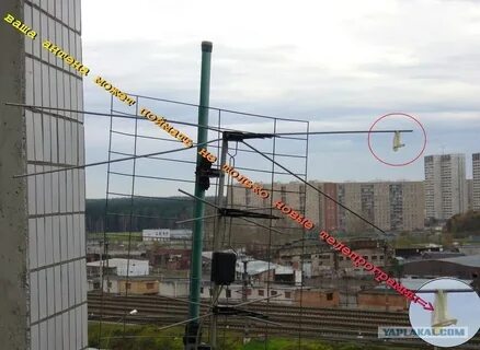 Антенна не ловит каналы