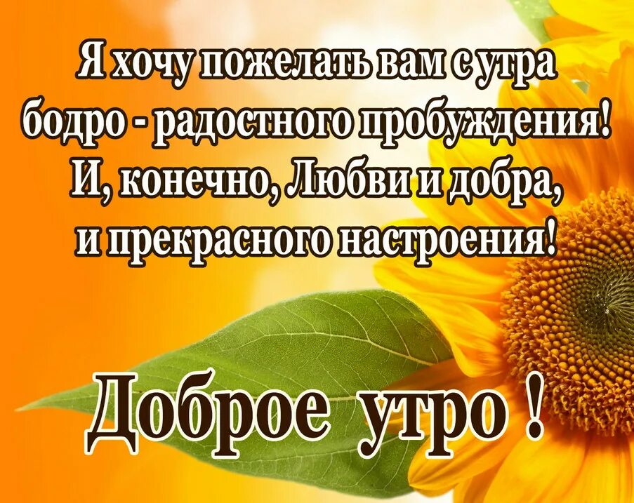 Стишки для пробуждения. Доброго пробуждения. Радостное Пробуждение. Легкого пробуждения. Стихотворение пробуждение