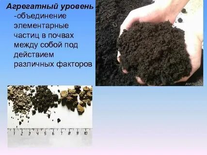 Понятие о почве