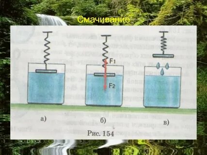 Смачивание и капиллярность поверхностное натяжение