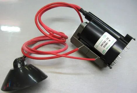 Pet 22