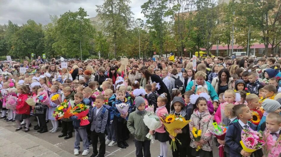 Микрорайон Заря школа 15. Школа 15 Заря Балашиха. Школа 15 гимназия Балашиха Заря. Мкр Заря Балашиха. Зари школа 3