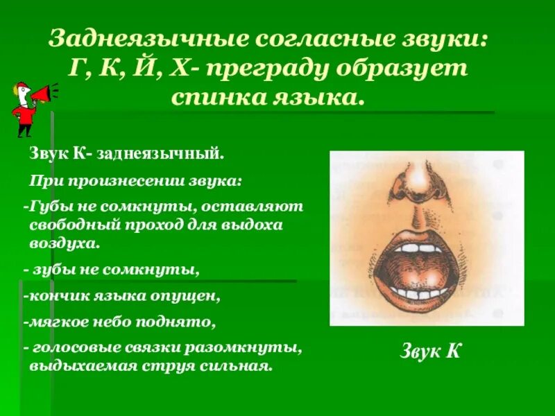 Согласные звуки при произнесении. Заднеязычные согласные. Задненебные звуки. Звуки заднеязычные звуки. Звуки к г заднеязычные.