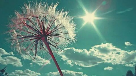 Reading sun shines