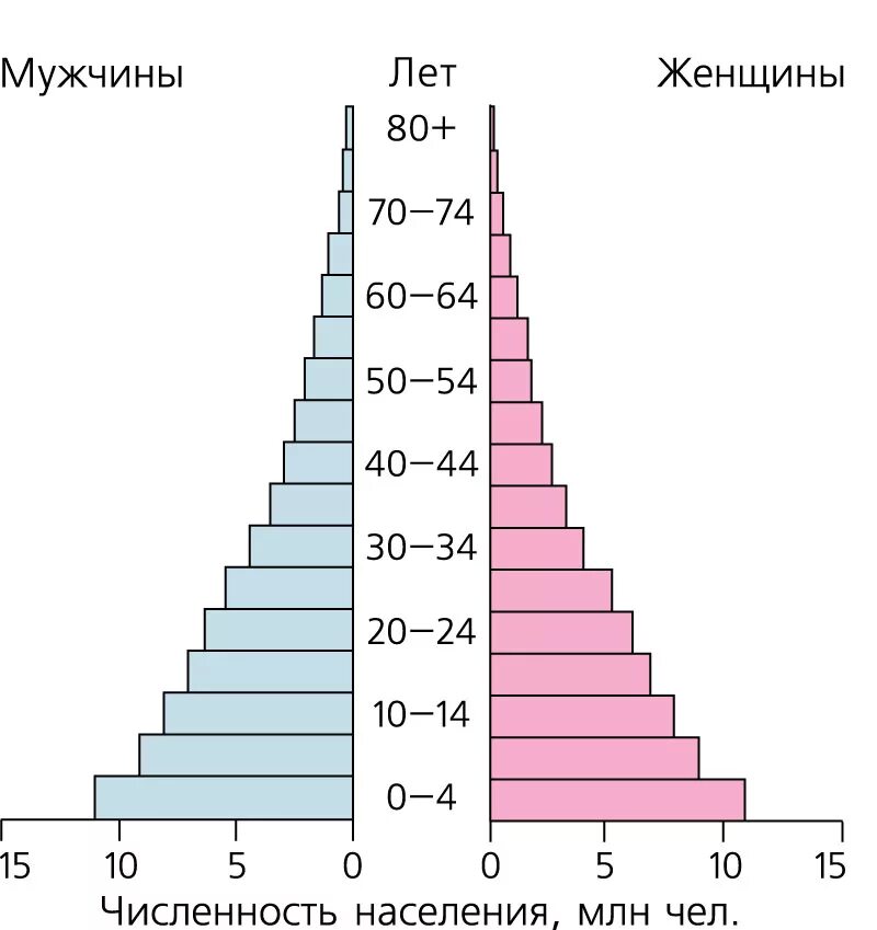 Население стока. Половозрастная демографическая пирамида. Возрастно половая пирамида Нигерии. Возрастно половая пирамида демография. Демографический взрыв на половозрастной пирамиде.