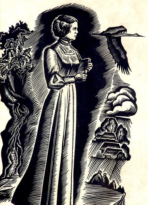 Верш мора цетка. Цетка алаиза пашкевич. Цетка алаиза пашкевич. Цетка алаиза пашкевич. Верш мора цетка.