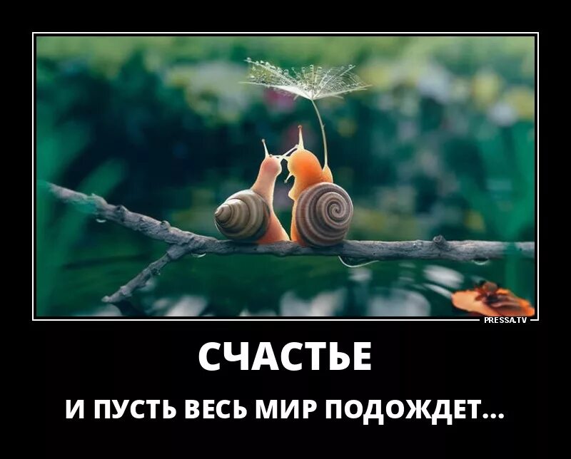 Совсем обыкновенным