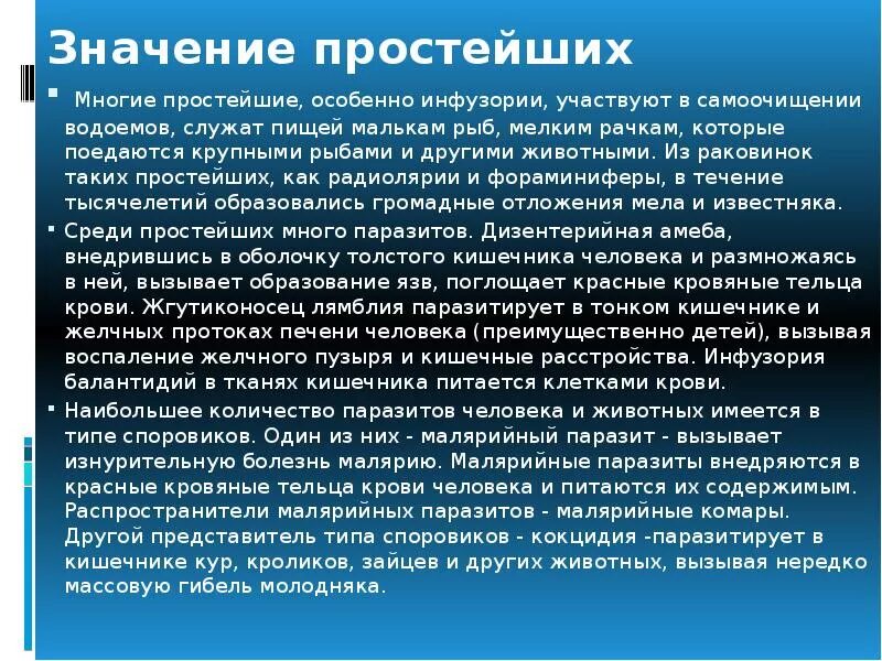 Значение простейших. Значение простейших в природе. Значение простейших в природе и жизни человека. Лексические заимствования. Информацию просто сообщение