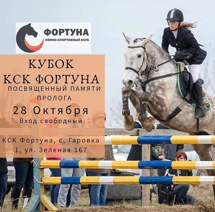Конный клуб фортуна. Кск хабаровск. Конный клуб галактика люберцы. Конный клуб мицар хабаровск. Кск хабаровск.