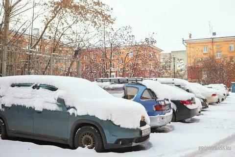 Снегопад засыпает дорогу