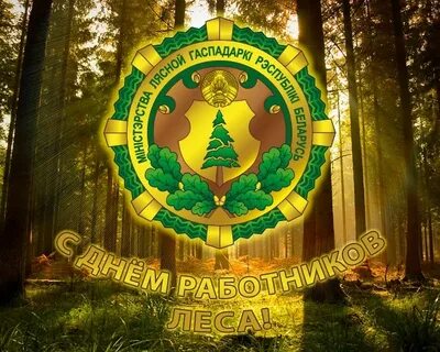 Picture background