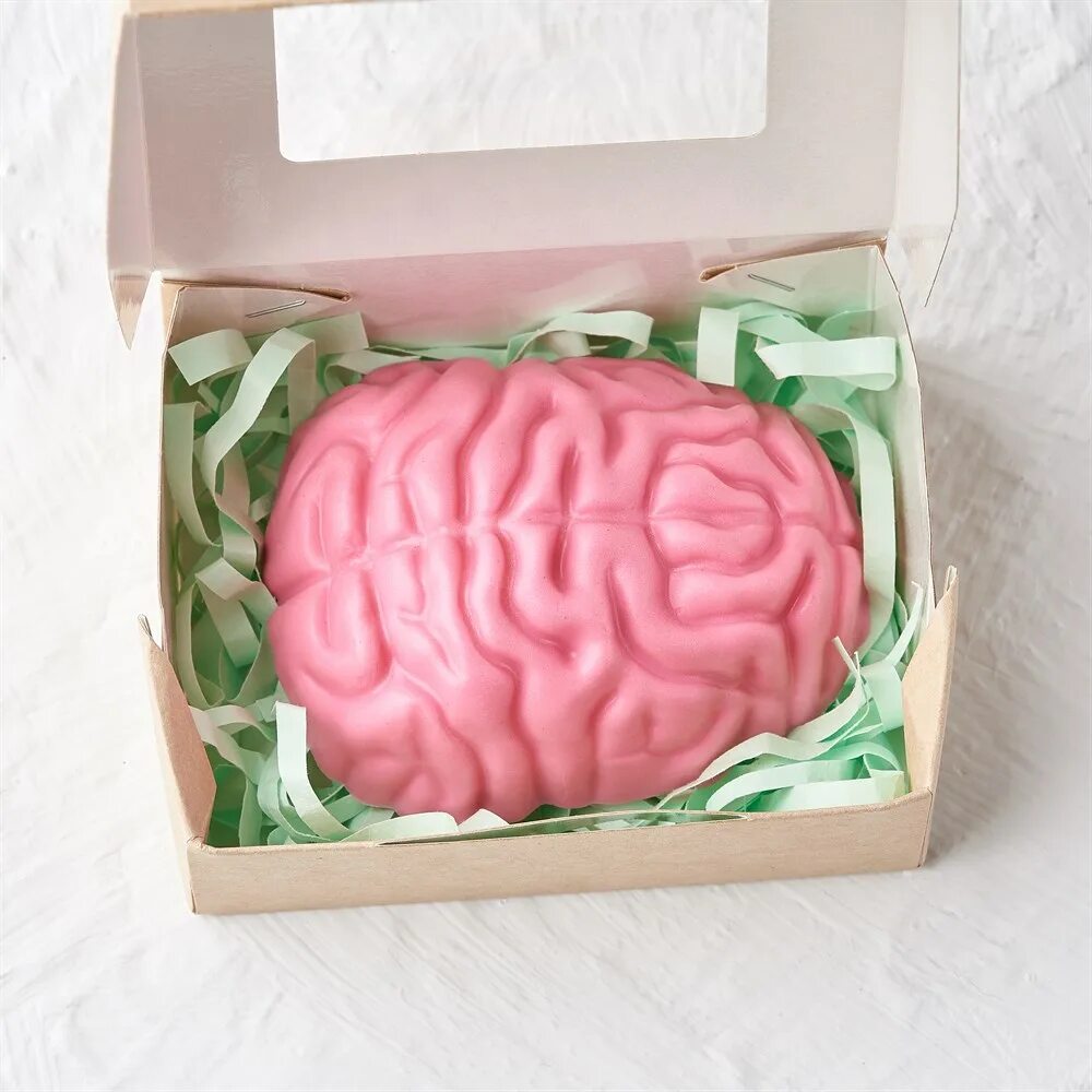 мозги в коробочке подарок. мозг в коробке. мозг в руках. мозг в коробке. мозги в подарок.