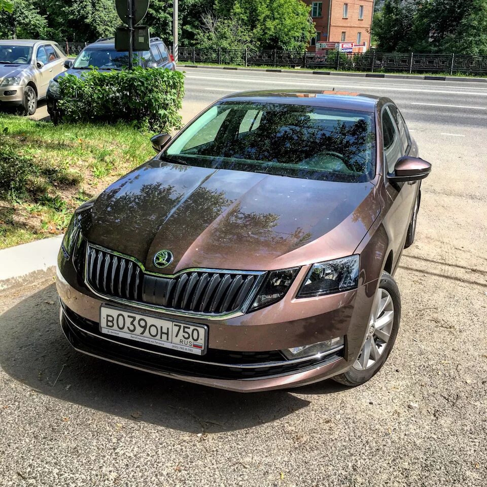 Skoda Octavia 2017. Skoda Octavia a7 Topaz Brown. Купить шкоду орел