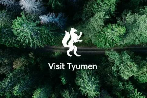 Визит тюмень