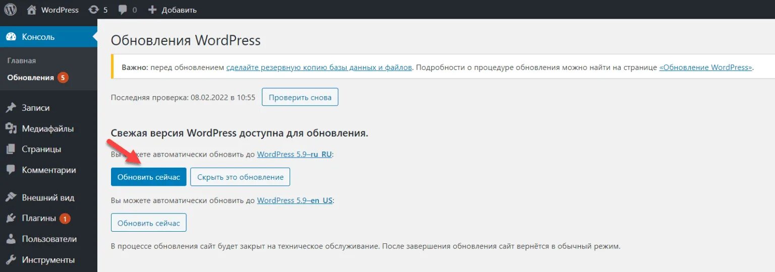 Как обновить wordpress