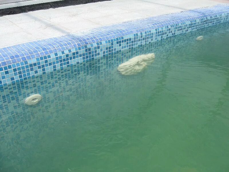 Зеленая вода в бассейне. Грязный бассейн. Грязная вода в бассейне. Белая вода в бассейне.