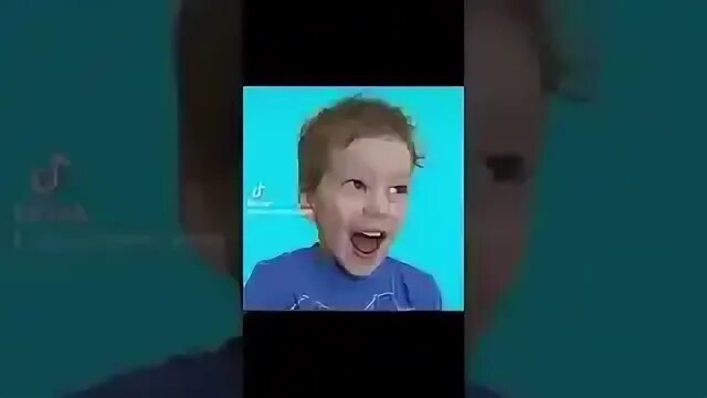 Когда богданы умирают они. Когда богданы умирают они