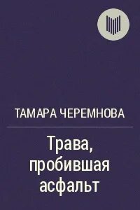 Книга асфальт