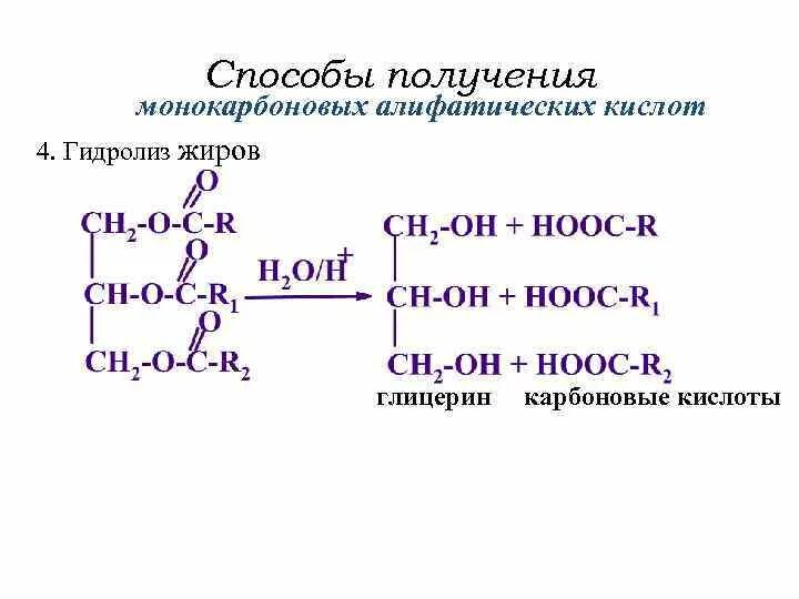 Ферментативный гидролиз жиров. Способы получения монокарбоновых кислот. Способы получения карбоновых кислот. Способы получения карбоновых кислот гидролиз дюжироа. Высшие карбоновые кислоты способ получения.