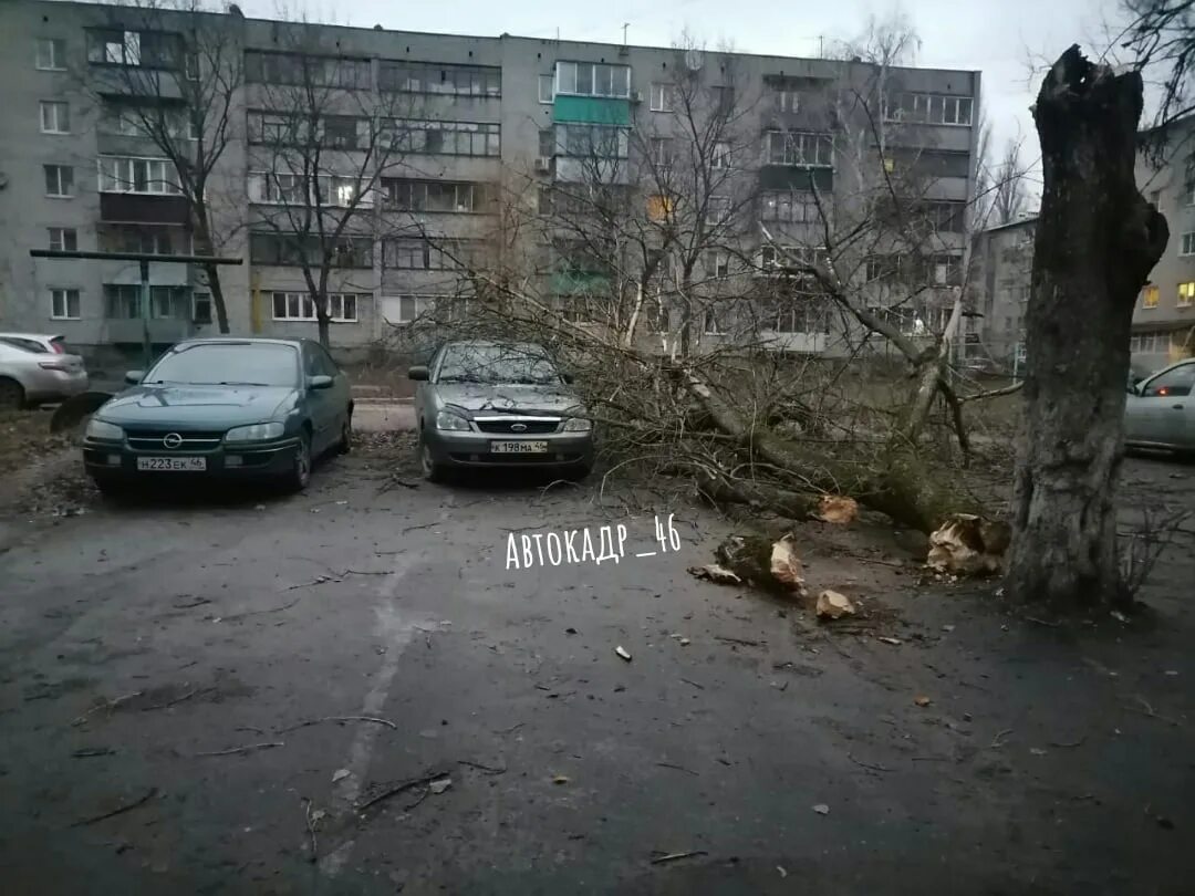 11 30 30 ноября. Республиканская 34 Курск. В Курске на улице гостинная упало дерево. Дерево упало от ветра.