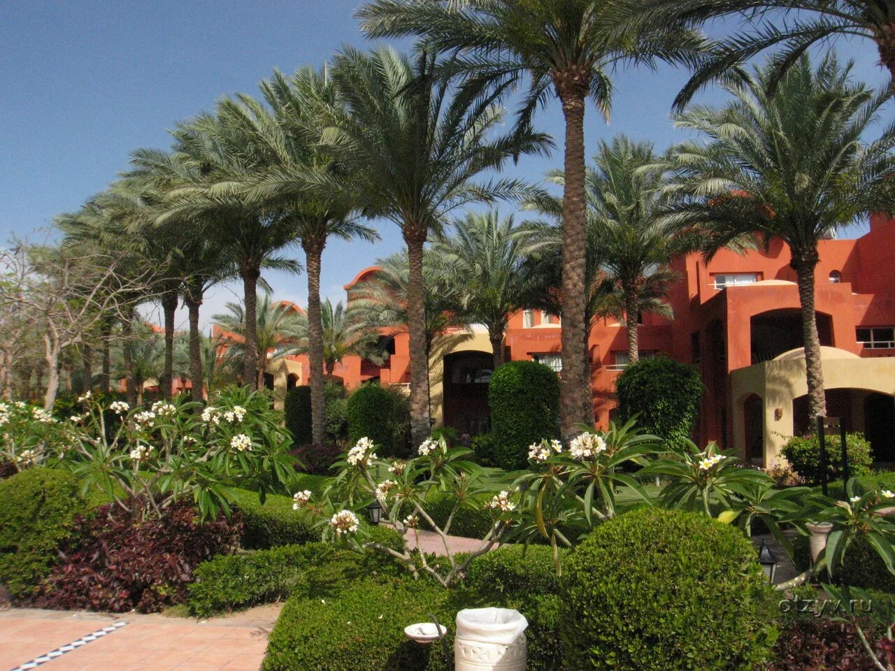 Отель шарм плаза 5. Sharm Grand Plaza Шарм-Эль-Шейх. Sharm Plaza 5 Шарм-Эль-Шейх. Шарм Гранд Плаза Резорт 5 Шарм Шейх. Шарм Плаза 5 Шарм-Эль-Шейх.