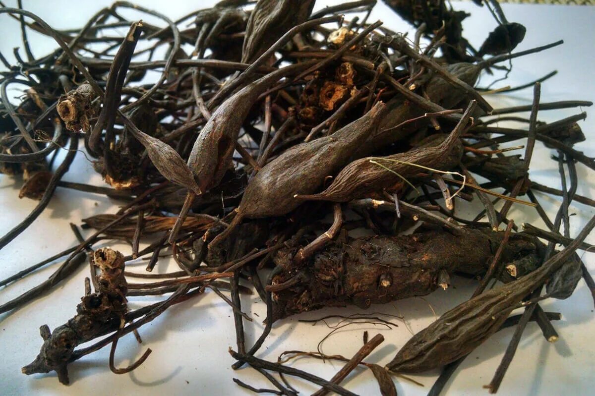 благородный корень