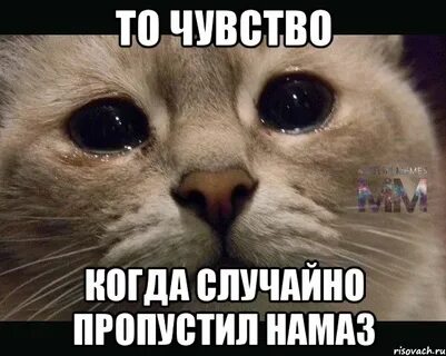 Пропустить ладно