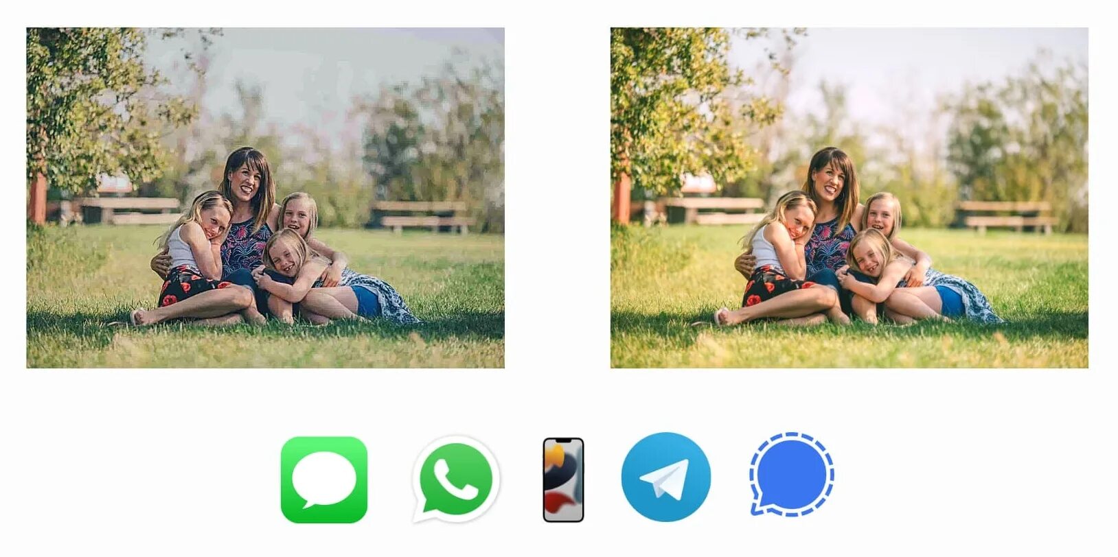 Whatsapp foto bezfon. Как отправить документ в ватсап. Сжать фото для ватсап. Ватсап фото без сжатия. Сжать фото для ватсап.
