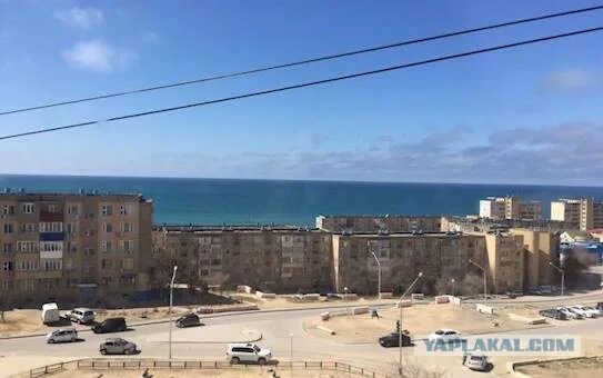 актау живу. ботанический сад актау. актау. актау живу. актау живу.