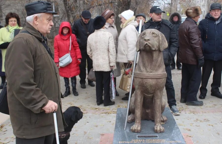 Новости дня статьи. Памятник собаке поводырю Волжский. Памятник в Берлине собаке проводнику слепых. Памятник поводырю Волжский. Памятник собаке поводырю в берлинском зоопарке.