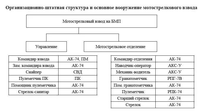 Рота определить. Организационно-штатная структура мотострелкового взвода вс РФ. Структура мотострелкового отделения вс РФ на БМП. Организационно-штатная структура мотострелкового отделения на БМП. Организация мотострелкового взвода на БМП-2..