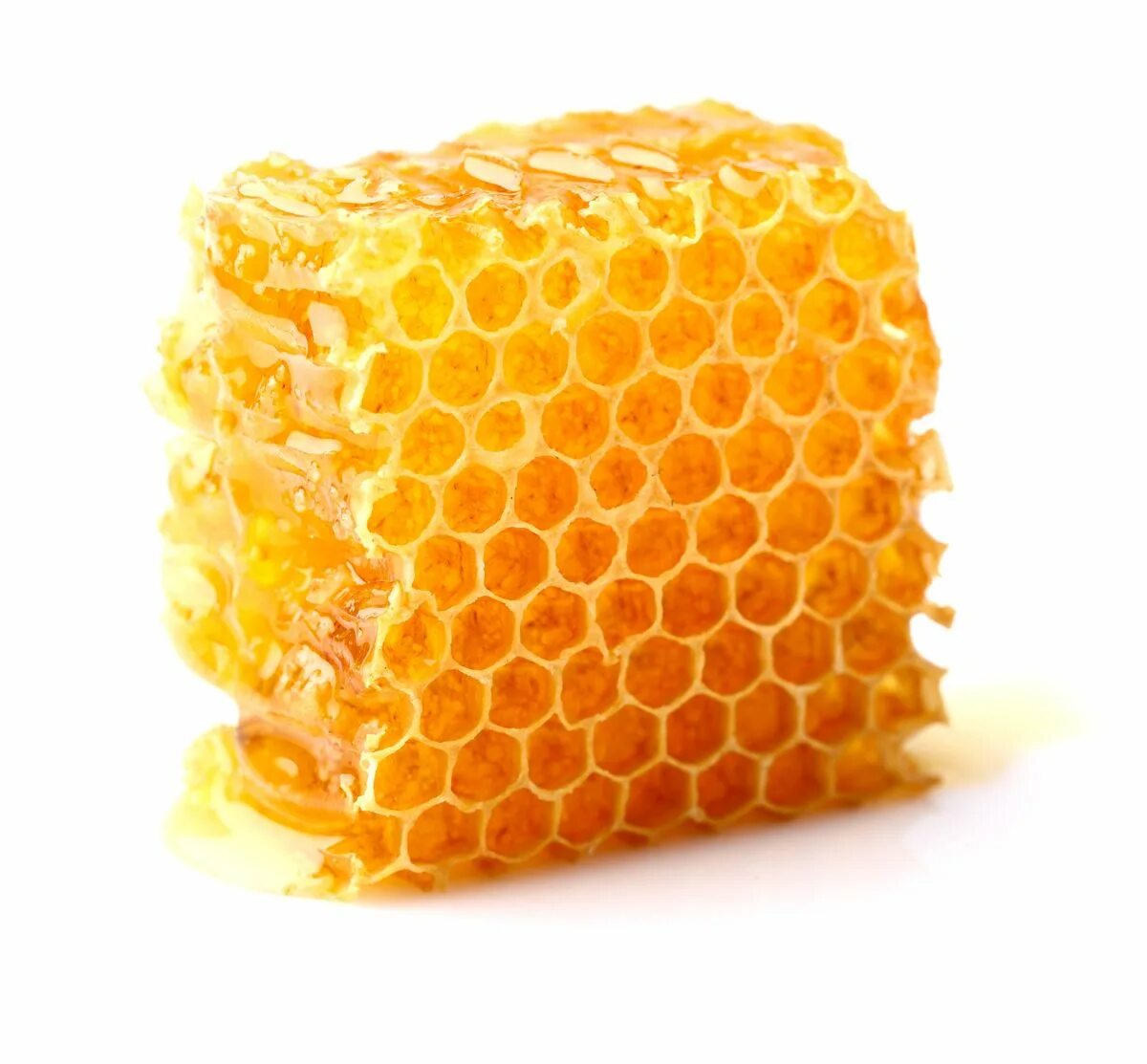 Соты пчелиные. Соты меда. Прозрачные пчелиные соты. Соты на прозрачном фоне.