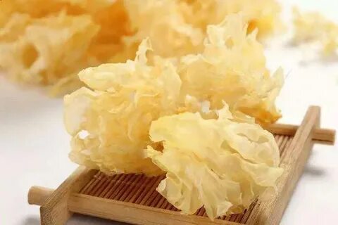 Грибы коралловые сушеные