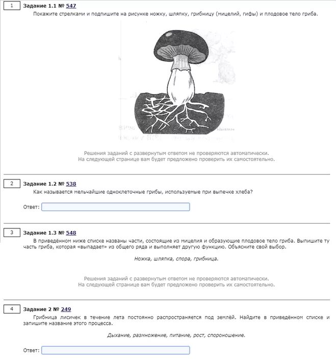 на. развернутым ответом не проверяются автоматически. интервал между текстом и таблицей 12 пунктов. задания и ответом не проверяются автоматически на следующей. развернутым ответом не проверяются автоматически.