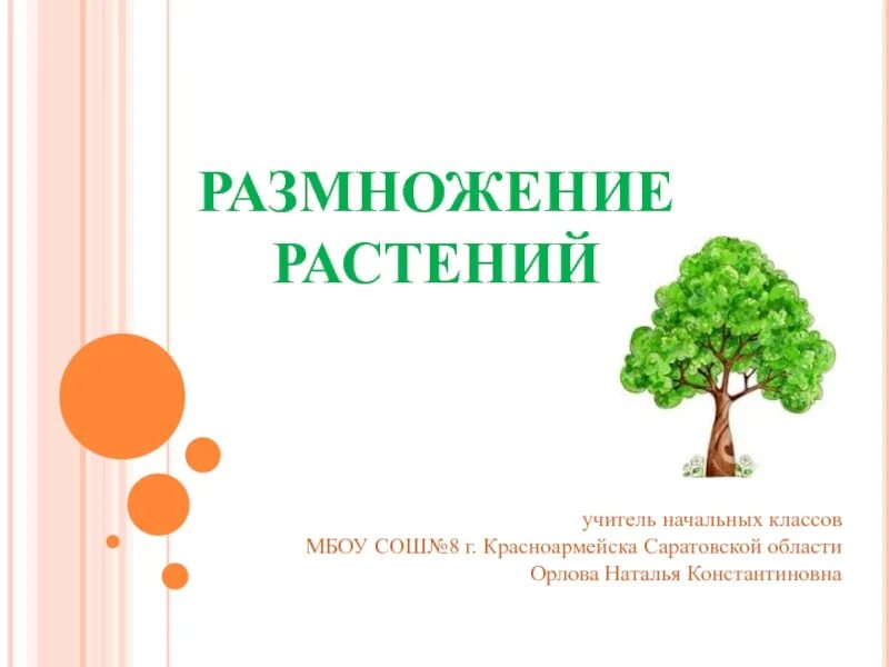 Размножение растений 3 класс. Размножение и развитие растений 3 класс. Размножение растений окружающий мир. Сообщение как размножаются растения.