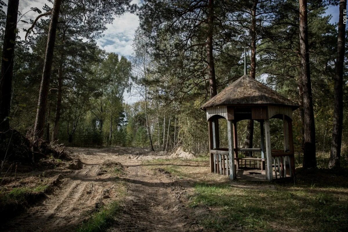 Беседки в Новосибирске Заельцовский парк Новосибирск. Беседка Заельцовский парк НСК. Беседки в Заельцовском парке Новосибирск. Заельцовский парк беседки