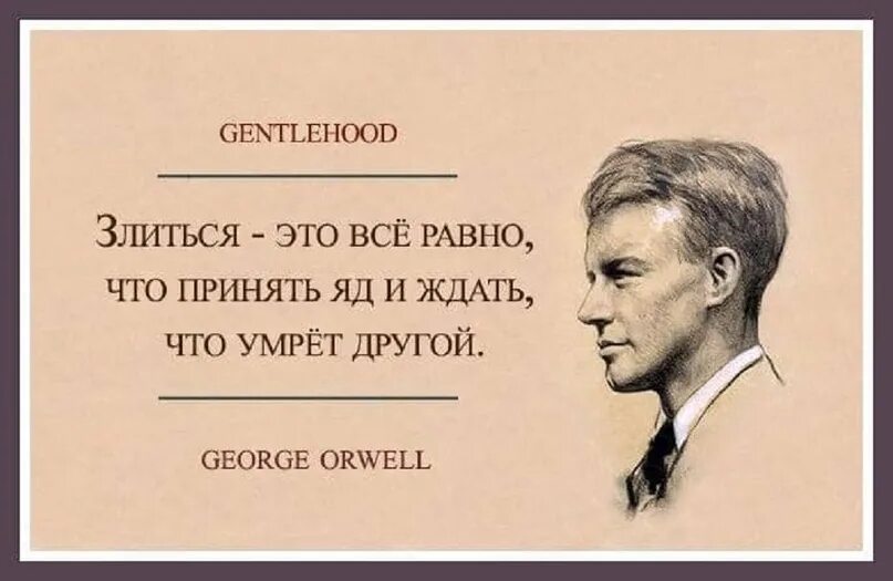 Смысл жизни если все равно умрем. Джордж Оруэлл высказывания. Высказывания писателей о Оруэлле. Люди злятся на то что. Остроумные афоризмы и высказывания.