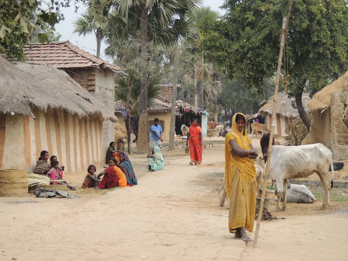 Традиционные общества индии. Клифаграми Индия деревня. Деревня Сундер Индия. Индия деревушка Канхивара. Сельские поселения в Индии.