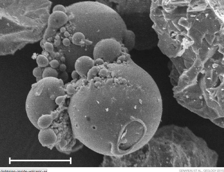 Пыльца и споры. Вулканический пепел под микроскопом. Шаровидный вулканический пепел под микроскопом.