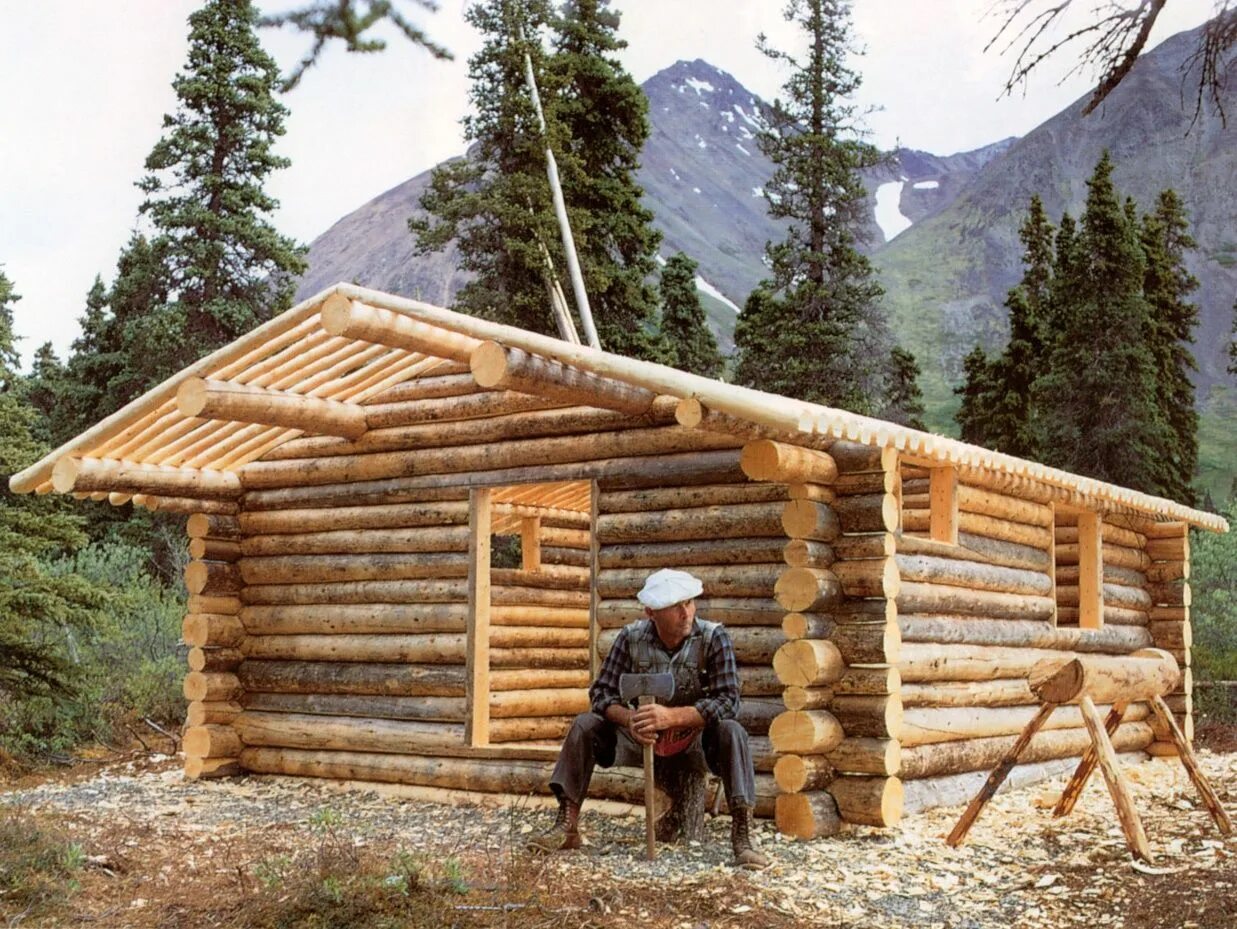 Log external