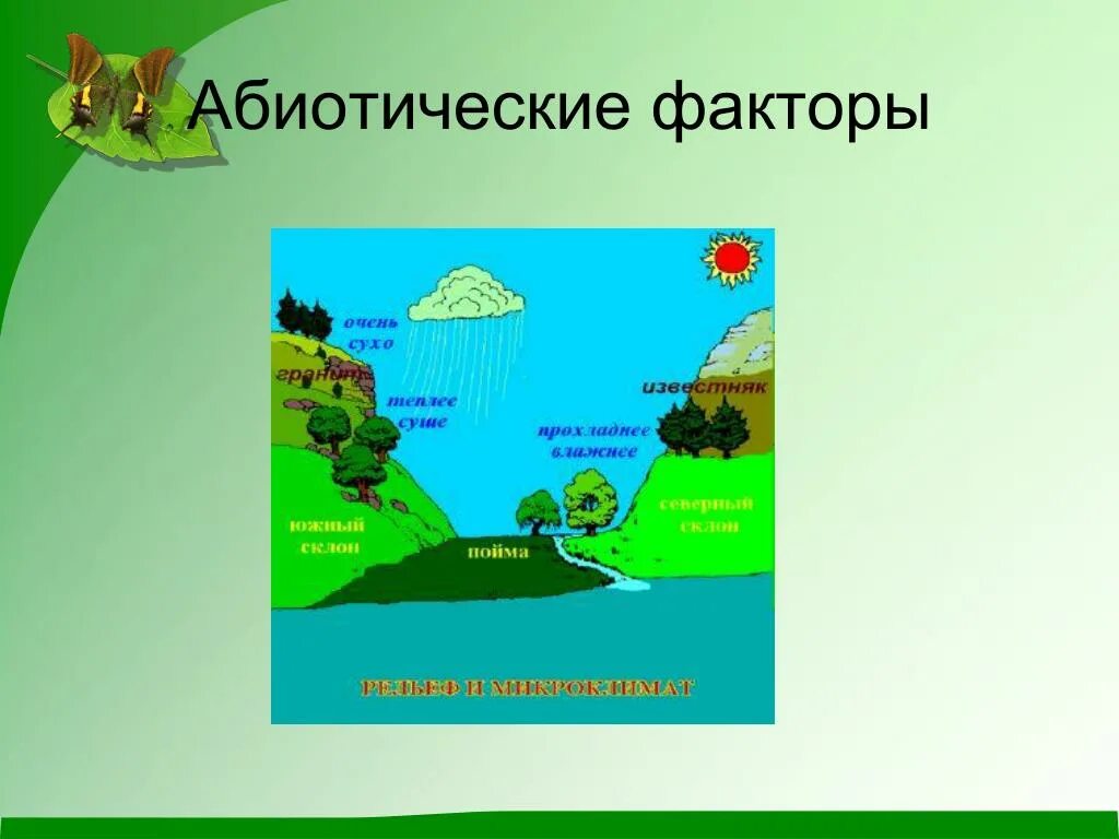 Абиотические факторы в жизни растений. Абиотические факторы. Абиотические факторы презентация. Амбтотические фактор. Абиотические факторы среды.