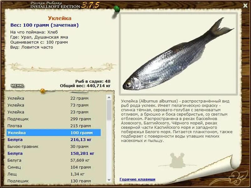 Уклейка красноярск. Наживка на уклейку. Ловля уклейки зимой. Крючки для ловли уклейки на поплавочную удочку. Уклейка вид сверху в воде.