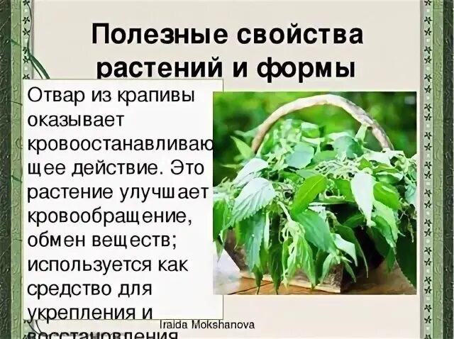 Лечебные свойства растений