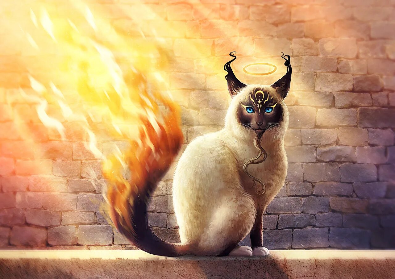 Мистические коты. Огненный кот. Кошка магия. Фантастические кошки. Сказочные кошечки