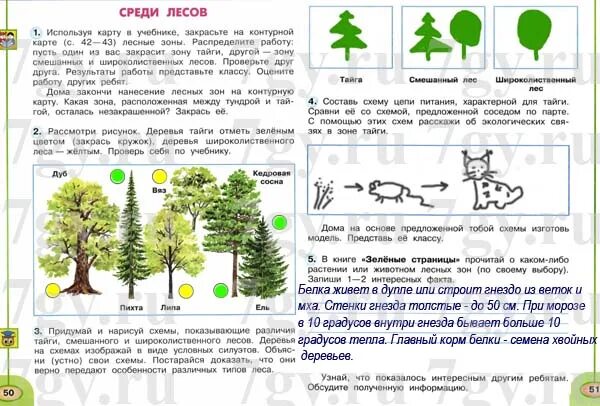 Окружающий мир 4 класс стр 85 ответы. Окружающий мир среди лесов. Задания по окружающему миру 4 класс. Среди лесов 4 класс окружающий мир рабочая тетрадь. Что такое лес окружающий мир 4 класс.