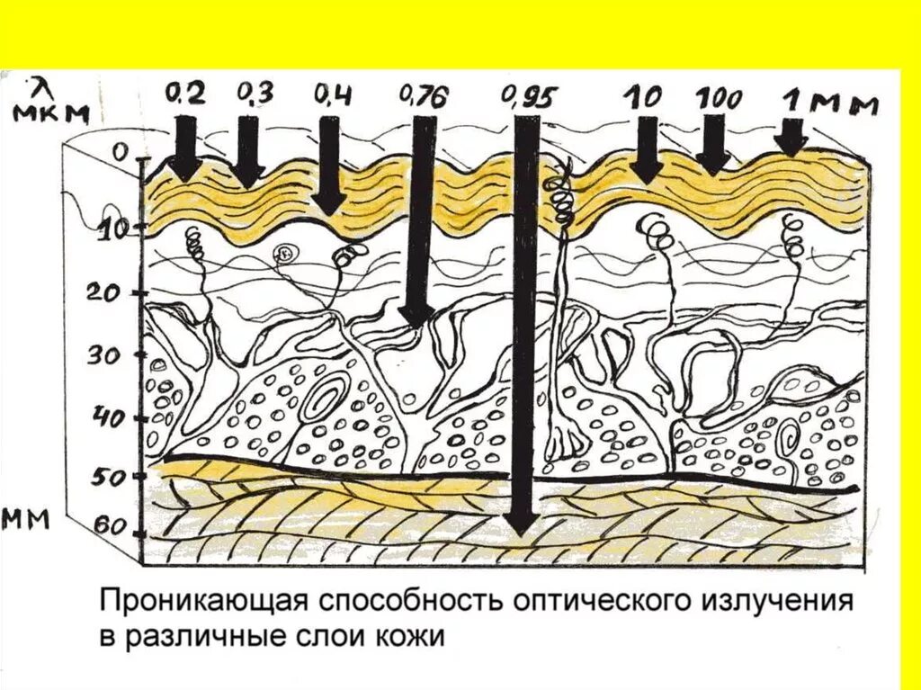 Проникнуть в глубь. Проникающая способность волн. Инфракрасное излучение глубина проникновения в ткани. Глубина проникновения излучения в кожу. Глубина проникновения лазерного излучения в ткани.