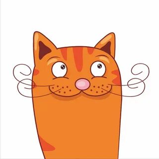 Внимание кот