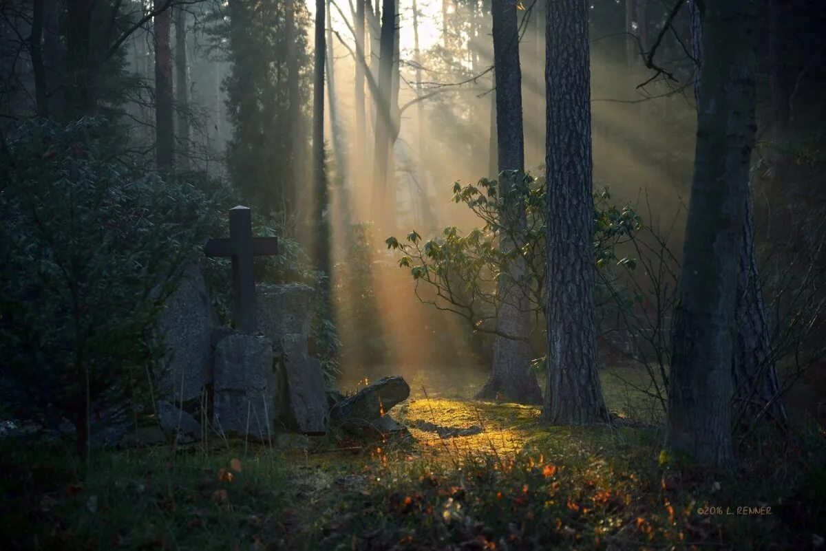 Тайна алтаря в туманном лесу. Заброшенное кладбище арт. Ведьмин лес англия. Сумрачный лес арт фэнтези. Тайна алтаря в туманном лесу.
