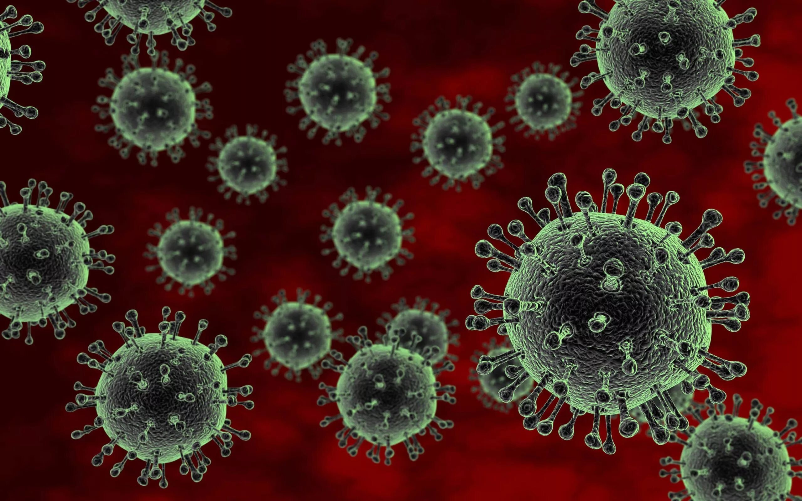 Орви клетка. Вирус коронавирус. Вирус гриппа h5n1. H5n1 коронавирус.